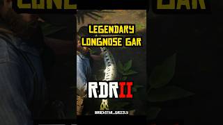 RDR 2  Legendary Fish  Legendary Longnose Gar rdr2 shorts [upl. by Nitsua904]