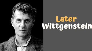 Later Wittgenstein  A Hypothetical Dialogue  Representation  Reality  AI [upl. by Medora]