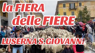 la FIERA delle FIERE è a LUSERNA SAN GIOVANNI val PELLICETO 4000capi di bestiame xle vie del paese [upl. by Hatcher]