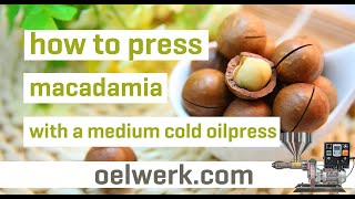 High quality macadamia oil  production and application [upl. by Ilatfan292]