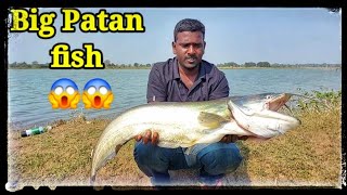 Patan Fishing  Big Monster Wallago Attu Catfish Hunting  Big Patan [upl. by Jallier658]