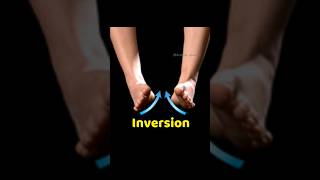 Inversion amp Eversion of foot  Lower limb Anatomy [upl. by Paolo]