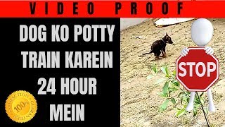 Dog Training in Hindi  Apne Kutte ko quotPotty trainquot kaise karein Lesson 4 [upl. by Misab]