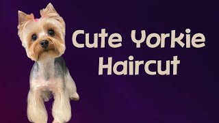 Cute Yorkie Freestyle Haircut Fusion inspired freestyle trim with a westie face and a bow [upl. by Inilam]