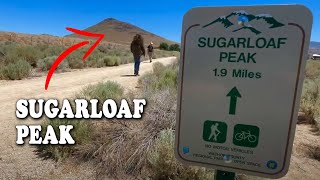 Sugarloaf Peak Hike [upl. by Aig]