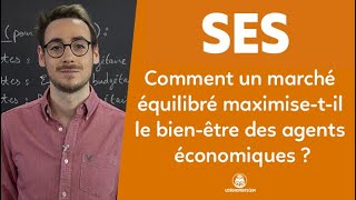 Comment un marché concurrentiel maximisetil le bienêtre des agents économiques   SES  1re [upl. by Ateekan197]