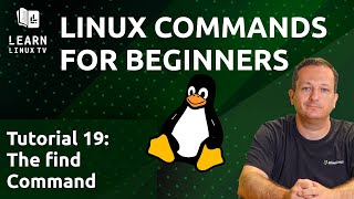 Linux Commands for Beginners 19  The find Command [upl. by Ynohtnaeoj]