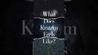 The Kratom Effect That Will Blow Your Mind [upl. by Won]