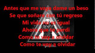 La despedida Letra Daddy Yankee [upl. by Clerk]