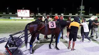 Cesena  07092024  Campionato europeo trotto  Heat 1  Click Bait  Roberto Vecchione 🐴 [upl. by Gloria]