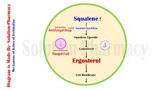 Antifungal Drugs  Terbinafine Mechanism of Action  Terbinafine MOA Through Animation  Terbinafine [upl. by Harcourt]