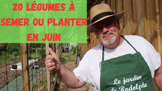 quotLes 20 légumes incontournables pour votre potager en juinquot [upl. by Nivlen732]