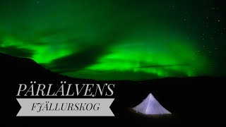 Vildmarks Äventyr i Pärlälvens Fjällurskogs Naturreservat  Vandring  Packraft och Fiske [upl. by Aihsrop717]