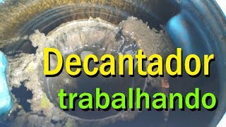 Decantador trabalhando  Aquaponia Coyote  08112017 [upl. by Uel]