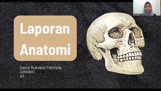 Anatomi Mandibula Regio Antebrachii Manus Articulatio Genu dan Os Femur [upl. by Drewett]