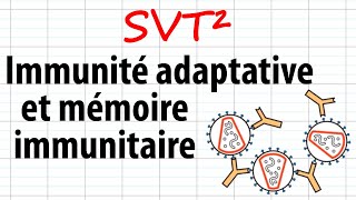 Immunité adaptative et mémoire immunitaire SVT²révisions BAC [upl. by Dranyl854]