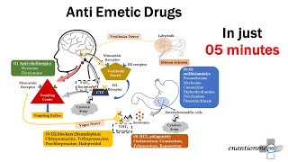 Pharmacology of Emesis Anti emetic Drugs Part  2 [upl. by Eiznikcm]