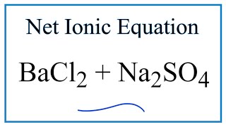 How to Write the Net Ionic Equation for BaCl2  Na2SO4  BaSO4  NaCl [upl. by Hodosh]