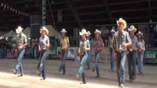 Steve Earle line dance  WILD HURRICANE  Voghera Country Festival 2010 [upl. by Aeel]