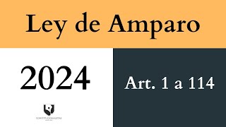 ✅ Ley de Amparo artículos 1 a 114 🎧 2024 [upl. by Giess]