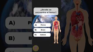 TEST DEL CUERPO HUMANO📚🌌😎👅👁️ quiz medicina cuerpohumano biologia culturageneral quizchallenge [upl. by Ellingston]