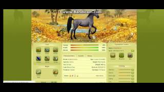 Howrse Basic Horse Care [upl. by Anait]