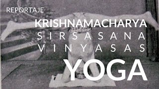 Krishnamacharya Sirsasana Vinyasas variaciones postura sobre la cabeza Mysore 1938Madrid 2016 [upl. by Nipha506]