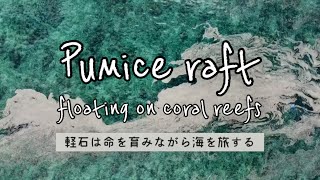 Pumice raft〜軽石は命を育みながら海を旅する〜 沖縄・福徳岡ノ場（202207撮影） [upl. by Aiuqram]