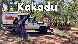 Kakadu  Crocodiles  Aboriginal culture [upl. by Kiyoshi]