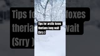 Tips for arctic foxes 3 therian quadrobics fox arcticfox ￼￼ [upl. by Bancroft]