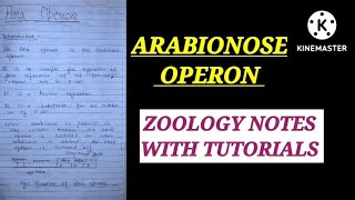 ARABINOSE OPERON HINDI EXPLAINATION araoperon zoologynotes cellbiologynotes bsc1styearzoology [upl. by Aneekas]