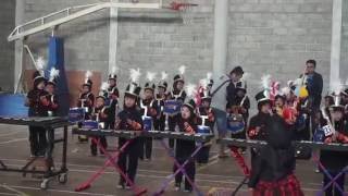 Amazing Kids Marching Band Parade [upl. by Trimble772]