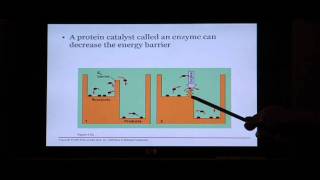 Biology Help Biology 123 Chapter 5 Energy and Metabolism [upl. by Armillas]