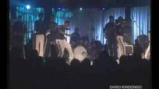 koffi olomide Live Show Guess star Fally [upl. by Assil117]