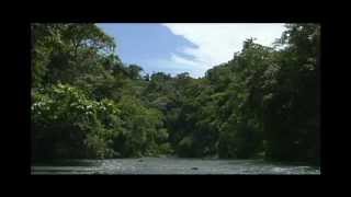 Costa Rica  Sights and Sounds of Corcovado National Park [upl. by Ireva]