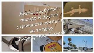 Особенности съёмного жилья на КипреАэропорт у моряПафос Кипр 5 часть [upl. by Talley484]