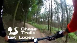 Cannock Chase Trails  Follow the Dog  Let Loose [upl. by Reo939]