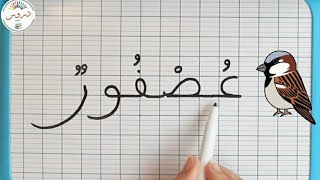 تعلم القراءة والكتابة باللغة العربية للسنة أولى إبتدائي [upl. by Emerej]