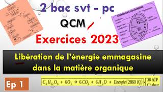 2 bac pc svt exercice 2023 ep 1 libération de lénergie emmagasinée dans la matière organique [upl. by Lavona]