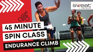 45 Minute Spin® Class FAT BURNING Indoor Cycling CLIMB Workout  Get Fit Fast [upl. by Eisor897]