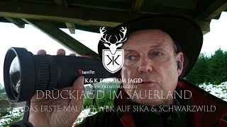 Drückjagd Sauerland auf Sika und Schwarzwild  Mit Wärmebildkamera Thermtec 670 D auf der Drückjagd [upl. by Benildas907]