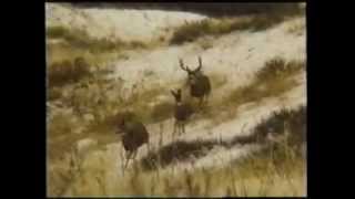 How To Call Mule Deer featuring quotDeer Talkquot the quotDeer Stopperquot Call 2 [upl. by Barris]