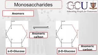 Biochem12  Monosaccharides  Hemiacetal  Epimers  Anomers  Diastereomers  Enantiomers [upl. by Jablon]