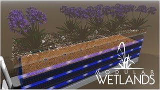 Modular Wetland System Linear 20 [upl. by Wanonah499]