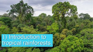 Introduction to tropical rainforests  AQA GCSE Geography Unit 1B [upl. by Nairad]