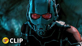 AntMan Goes Subatomic  Quantum Realm Scene  AntMan 2015 Movie Clip HD 4K [upl. by Weissman]