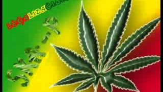 Legalizacion cannabis Ska p [upl. by Yllor19]