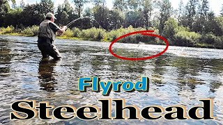 Steelhead Fishing The Cowlitz River [upl. by Htide]