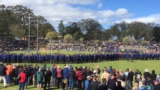 Downlands 1st XV Highights 2016  The Comeback Year [upl. by Oimetra325]