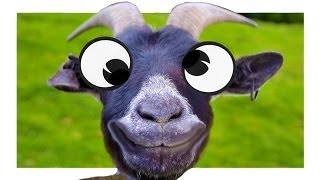 GOAT SIMULATOR ᴴᴰ ►Lets Play Lets Fetz◄ Lets Test Goat Simulator ⁞HD⁞ ⁞Deutsch⁞ [upl. by Sardse764]